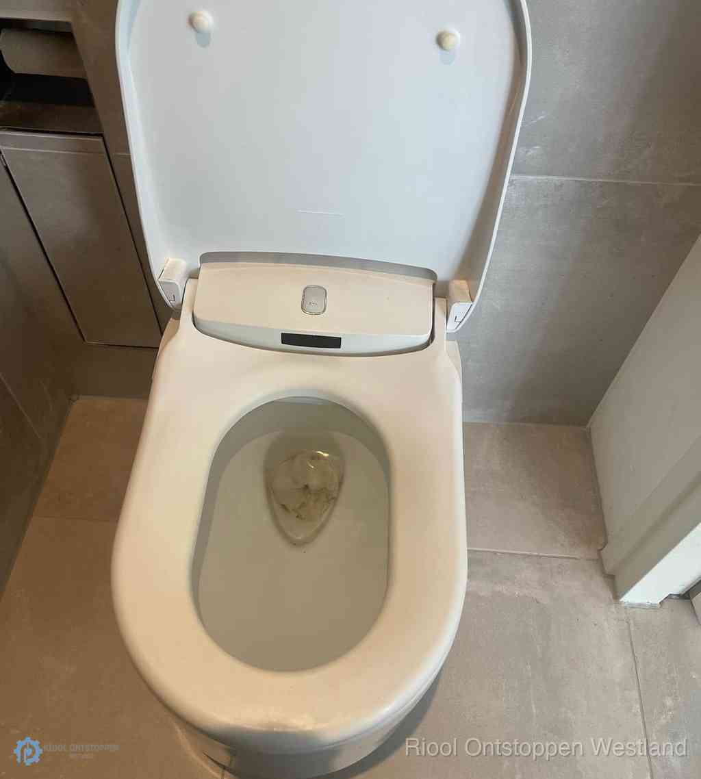 Toilet Ontstoppen Westland Toilet Ontstoppen Westland